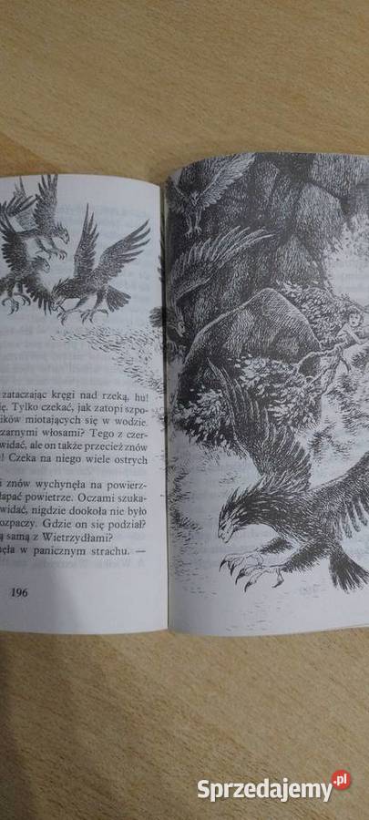 Ronja córka zbójnika Lublin