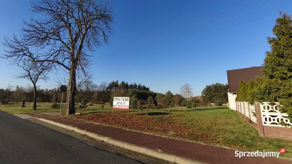 Sprzedam działkę budowlano usługową Rogowiec gm Bełchatów