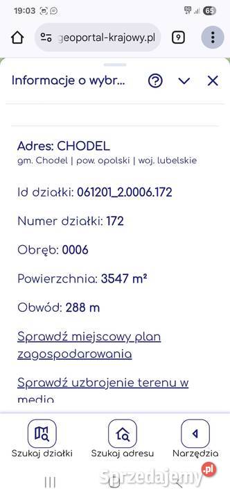 Sprzedam las w Chodlu Chodel