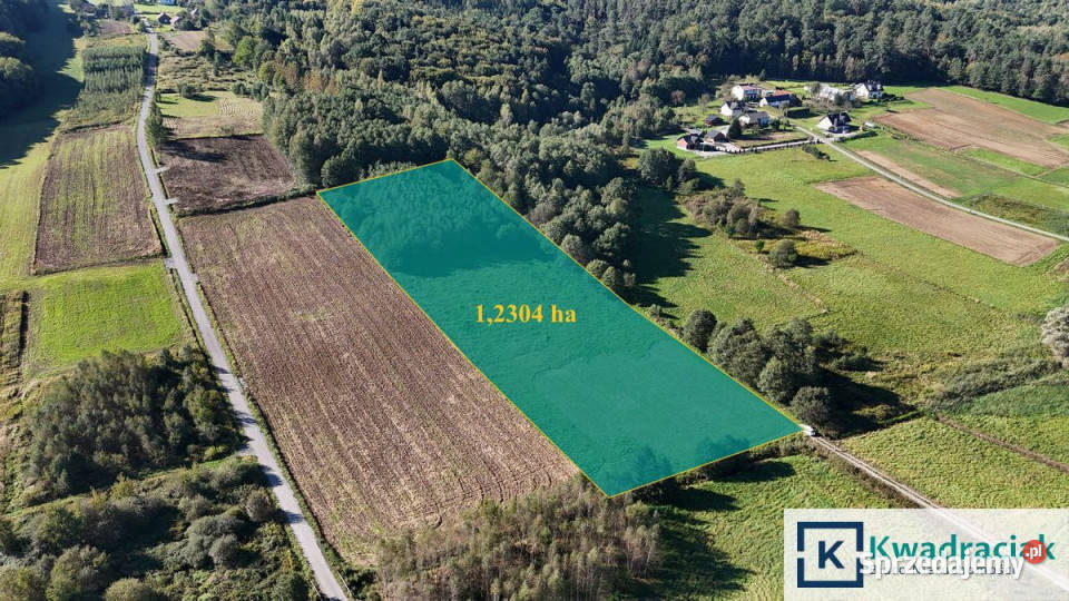 Działka Sieklówka 12304m2 Sprzedaż