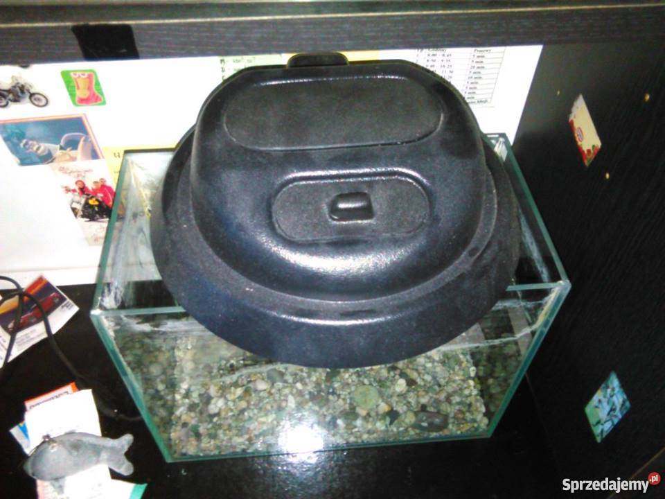 Akwarium 10l z oświetleniem kujawsko-pomorskie