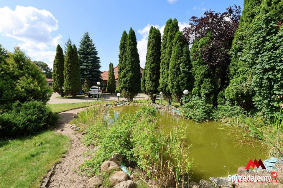 Lokal Włocławek 212m2