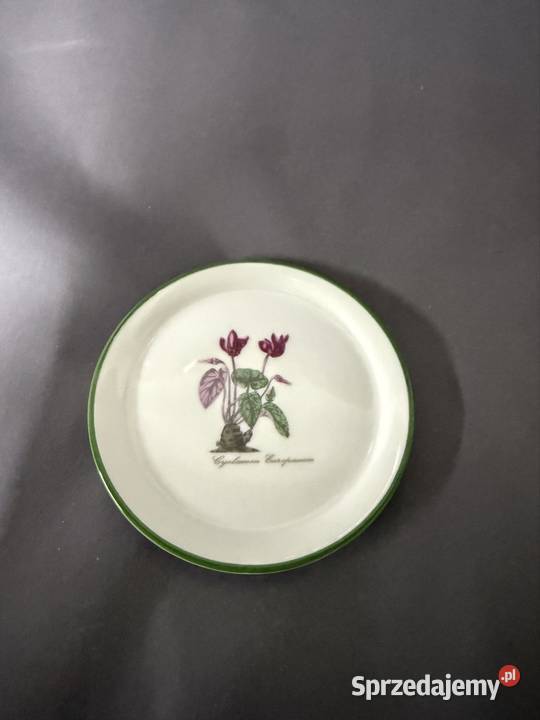 Talerzyki botaniczne