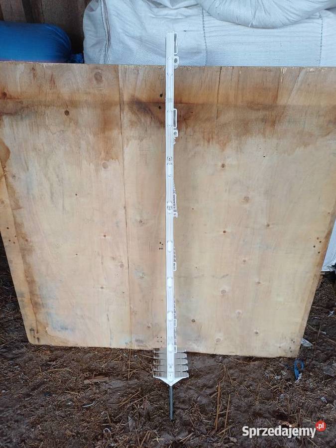 Paliki 125 do grodzenia Włynice sprzedam