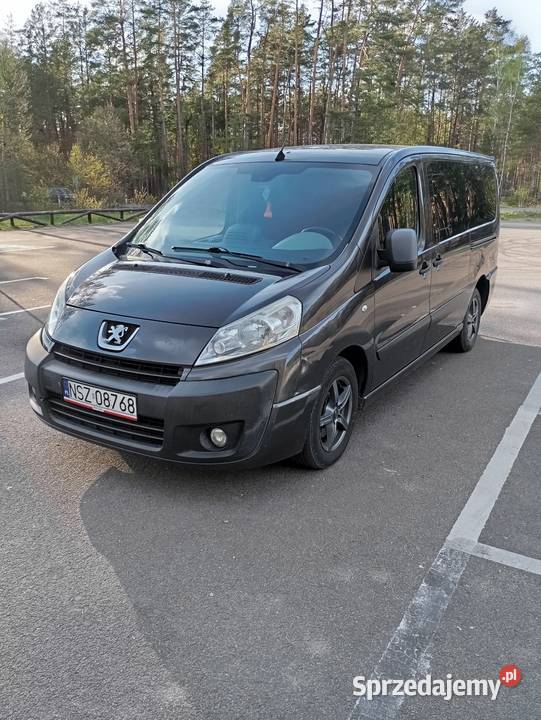 Peugeot Expert Tapee welurowa tapicerka Wielbark