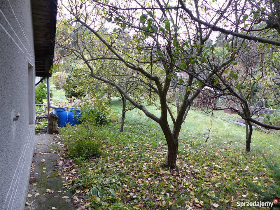 Działka rekreacyjna ROD Promyk 26zł/m2 lubuskie Zielona Góra