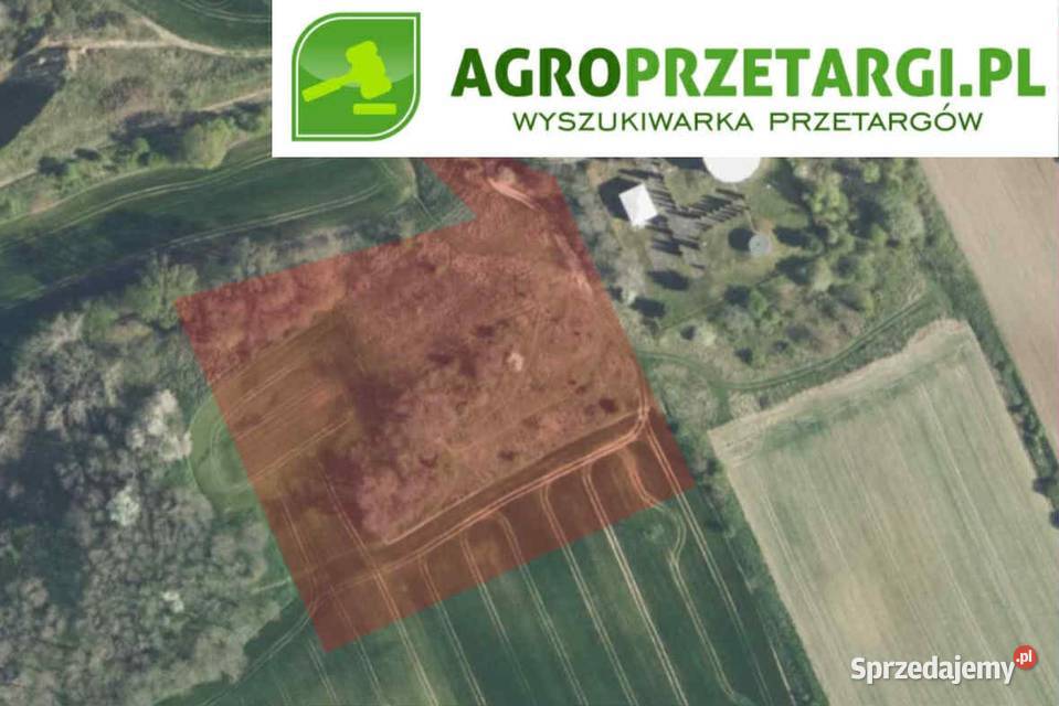 Dzierżawa 133 ha gruntu rolnego Wynajem Ząbkowice Śląskie sprzedam
