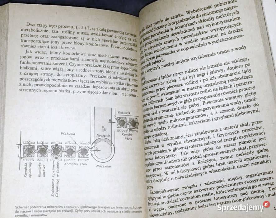Laboratorium przyrody Andrzej Anioł Chełm