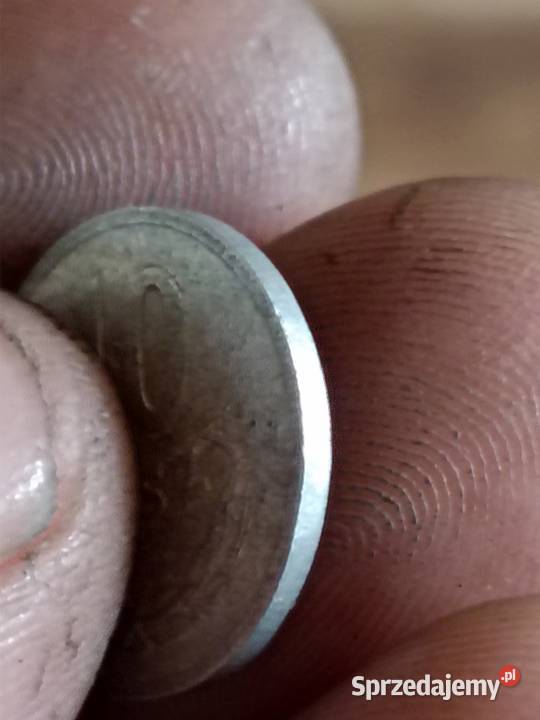 Sprzedam czwarteb10 gr 1966 zzm Chełm