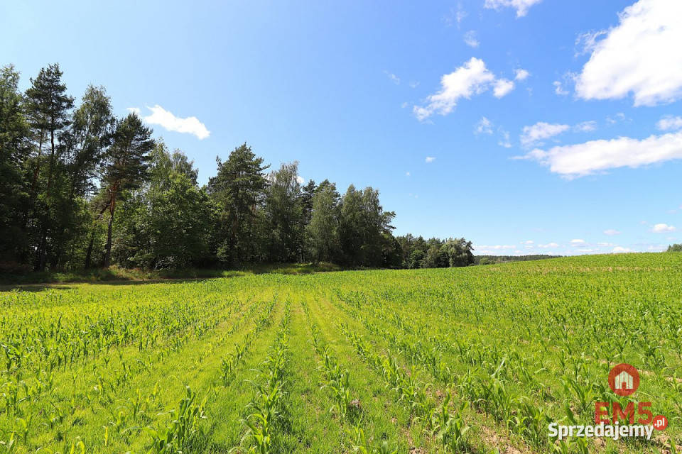 Działka 1100m2 Rożyńsk Wielki