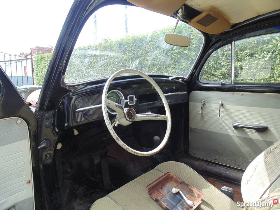 garbus dziadek 61 opolskie Nysa