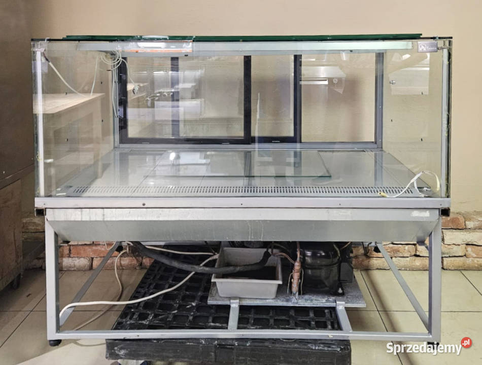 Witryna cukiernicza Cebea Bochnia Estera WO śląskie Pszczyna