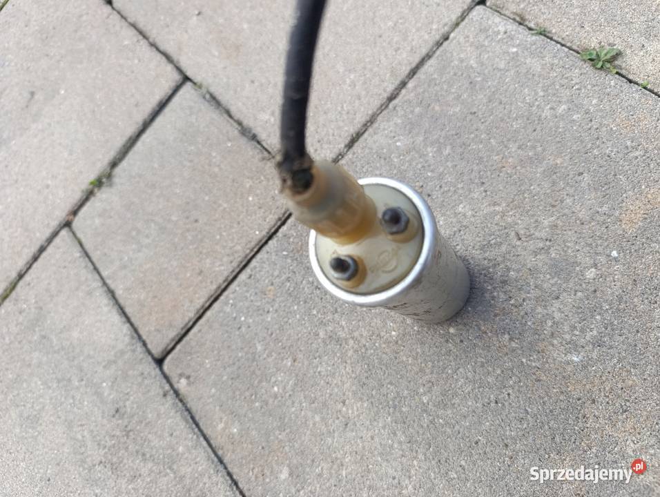 Cewka SHL gazela orginał