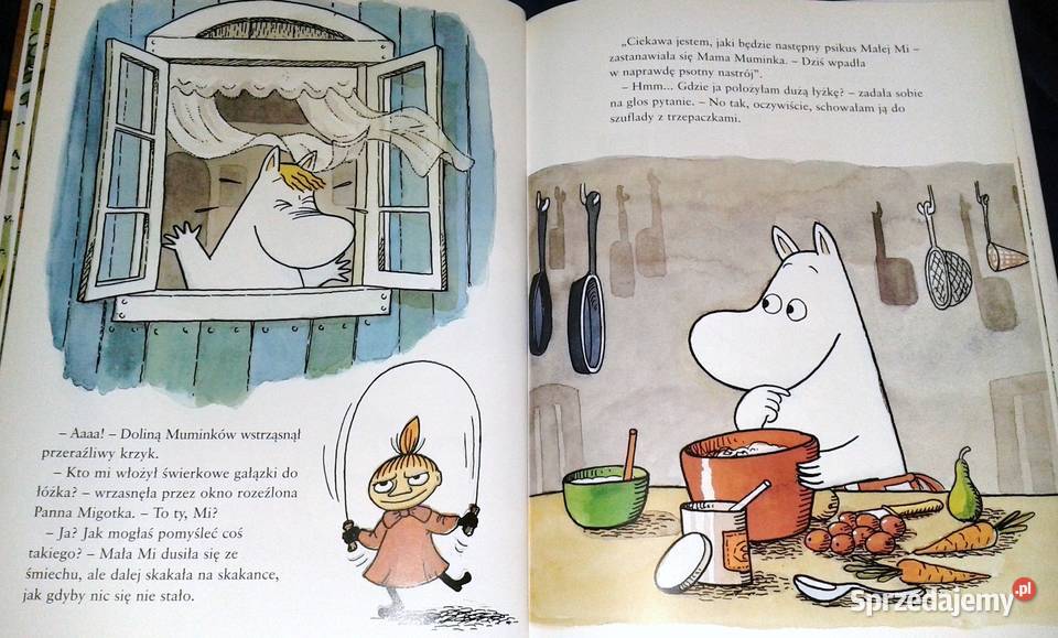 Muminki i niespodzianka Harald Sonesson Chełm