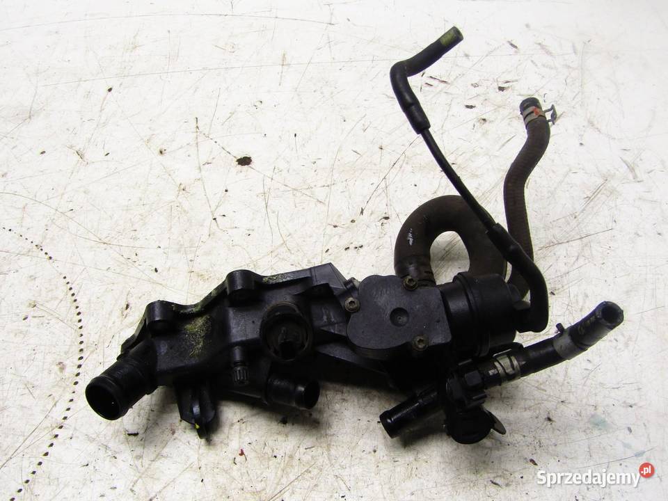 OBUDOWA TERMOSTATU MAGISTRALA WODNA 12DIGT sprzedam