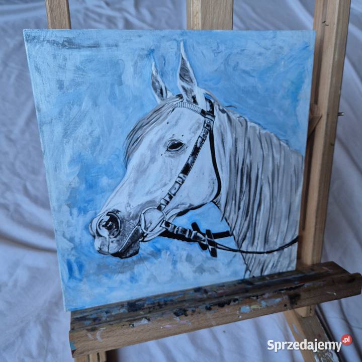Obraz klacz koń arabski stadnina białka Janów Brzesko
