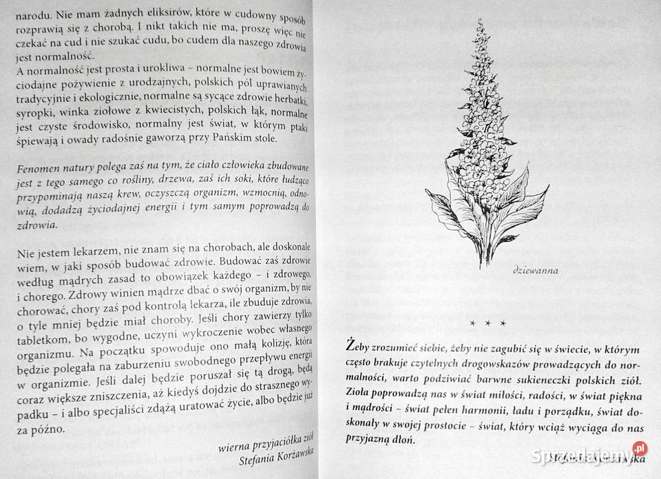 Budować zdrowie Stefania Korżawska Chełm sprzedam