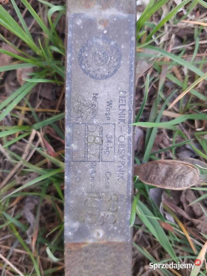 Pielnikobsypnik konny Zgierz