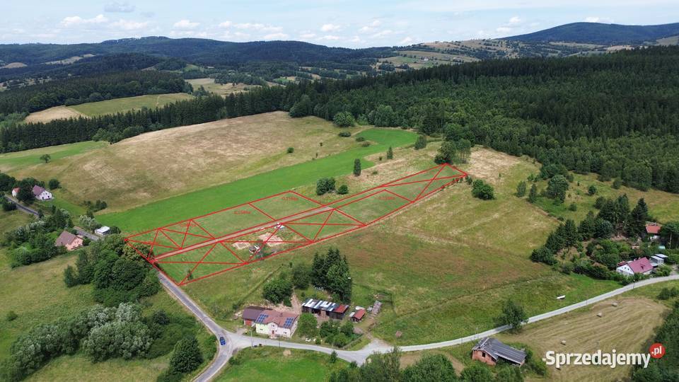 widokowa uzbrojona działka w Górach Sowich MPZP Bartnica