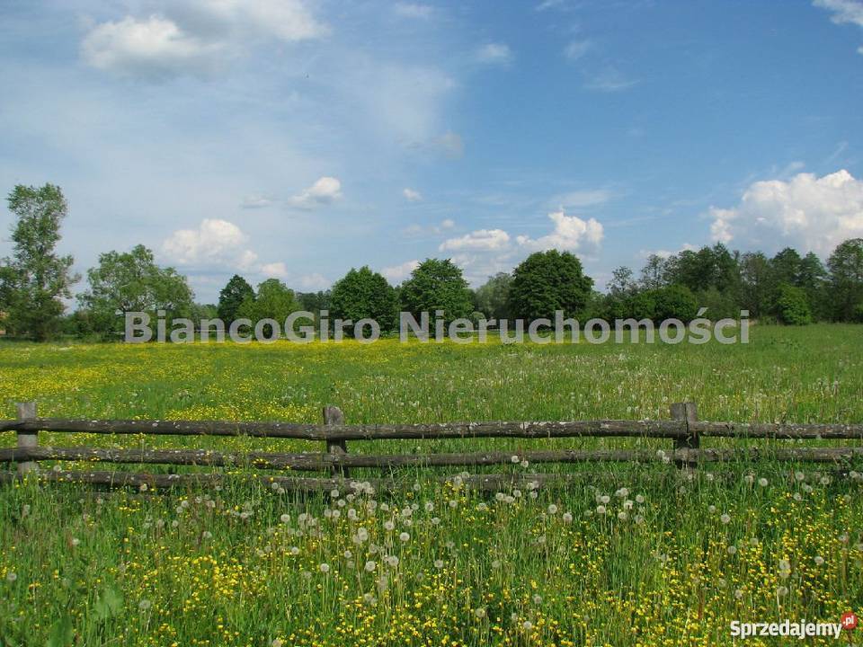 działka 32500m2 Piaski Duchowne Piaski Duchowne sprzedam