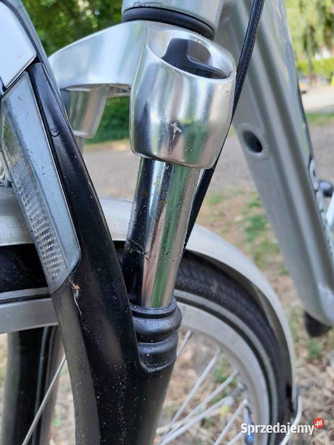 DAMKA GAZELLE Łuków sprzedam