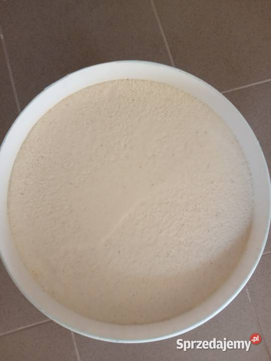 Miód wielokwiatowy polski naturalny Pszczelarstwo Wyrzysk sprzedam