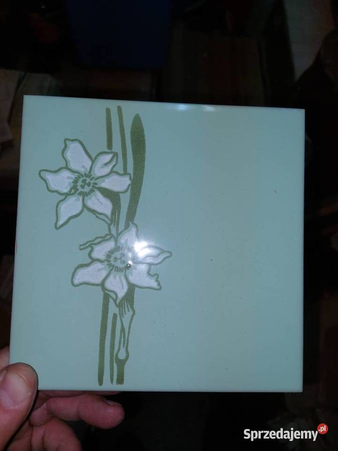 Dekory terakota plytki Lublin