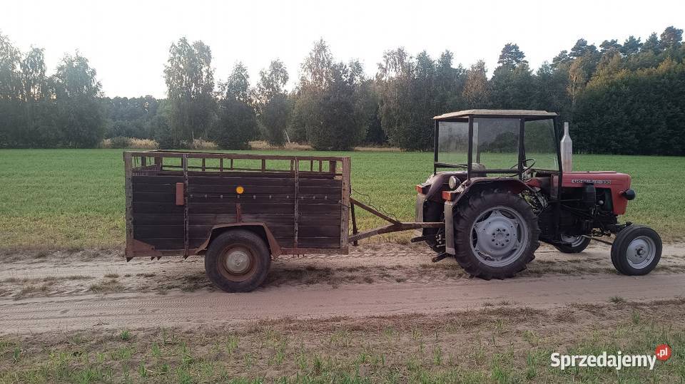świniorka przyczepka Masanów