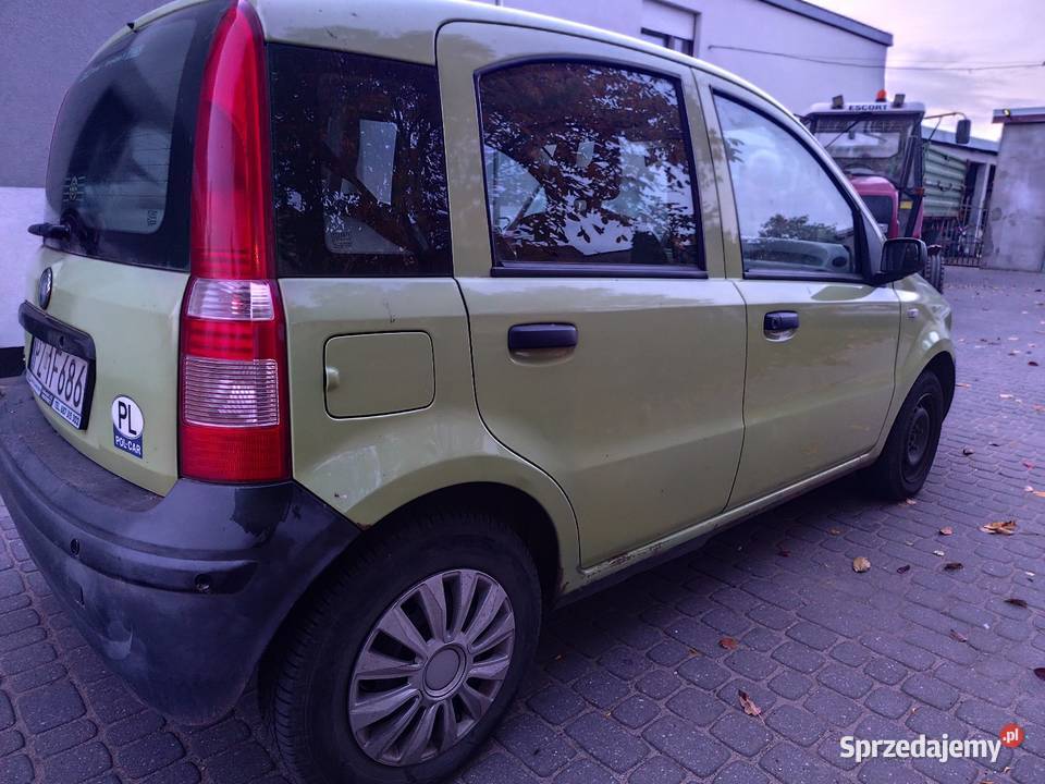 Fiat panda lubuskie
