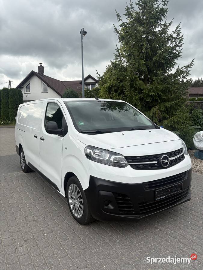 Opel Vivaro 20 diesel 122 1340kg kujawsko-pomorskie Dolna Grupa