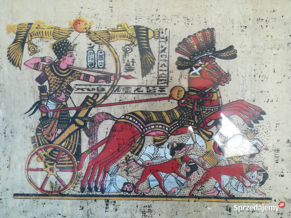 Obrazy Oprawione papirusy