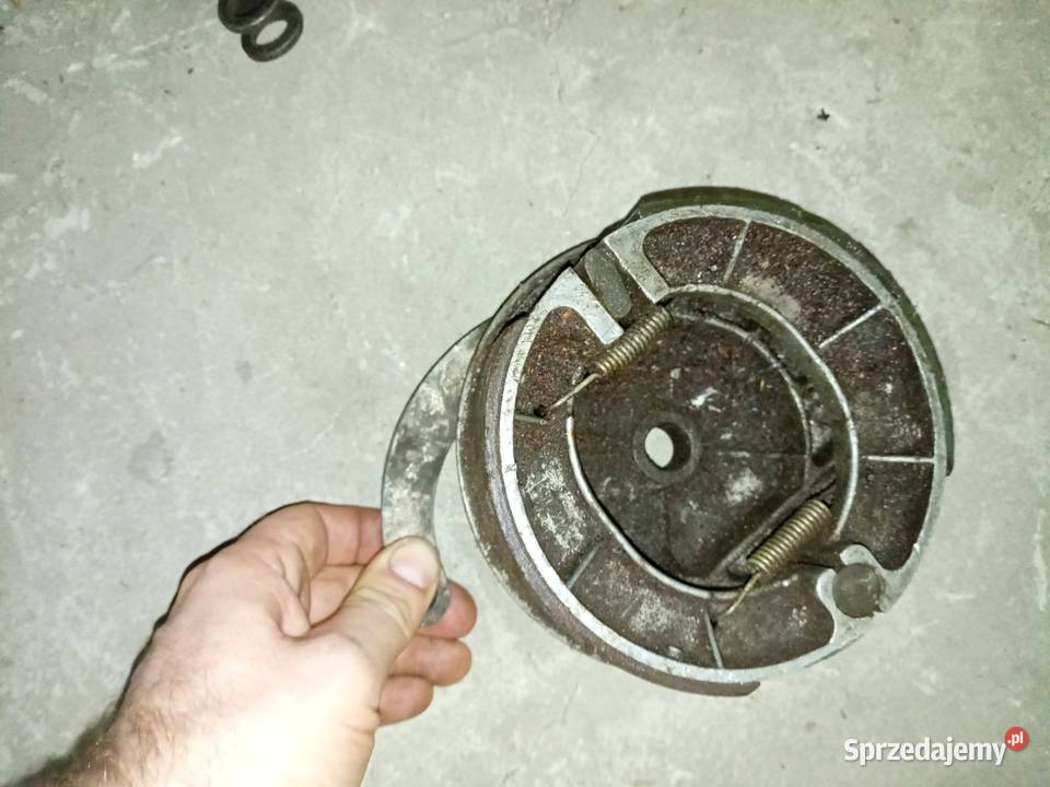 Wsk szczekotrzymacz podkarpackie Stalowa Wola