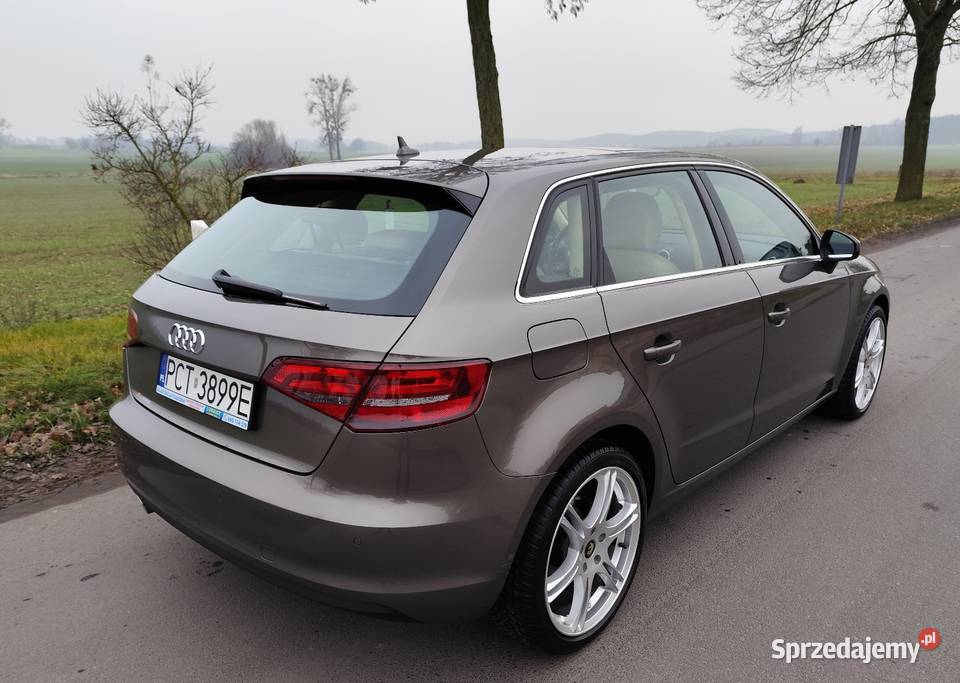 Audi A3 8V 2013r 20 TDI skóra alu 18 navi centralny zamek Lubasz sprzedam