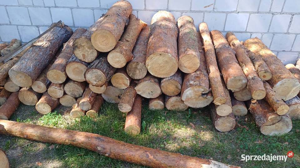 Drewno sosnowe Tarnobrzeg