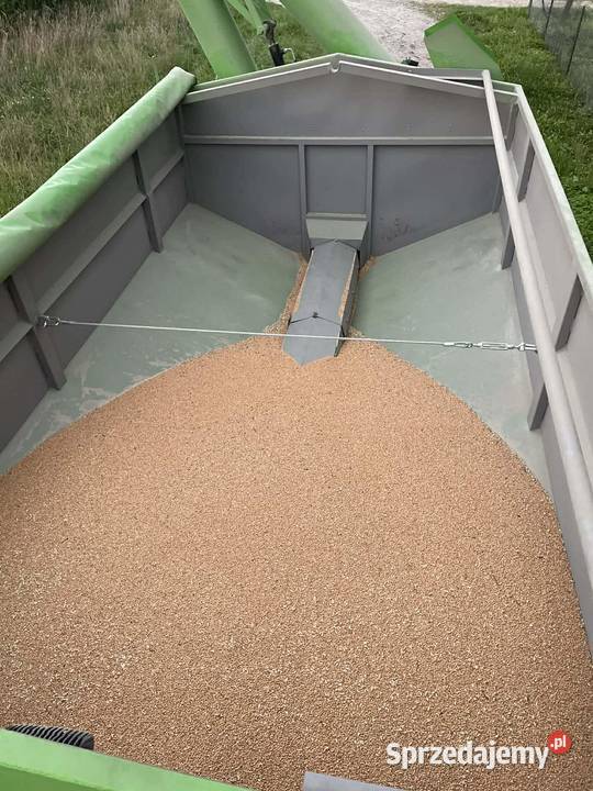 Przyczepa przeładunkowa nieuszkodzony Jaćmierz