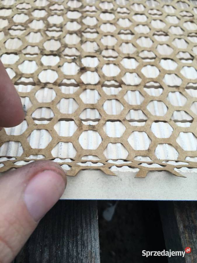 Mozaika listwa sensual rosa 325x325 firmy Reguły sprzedam