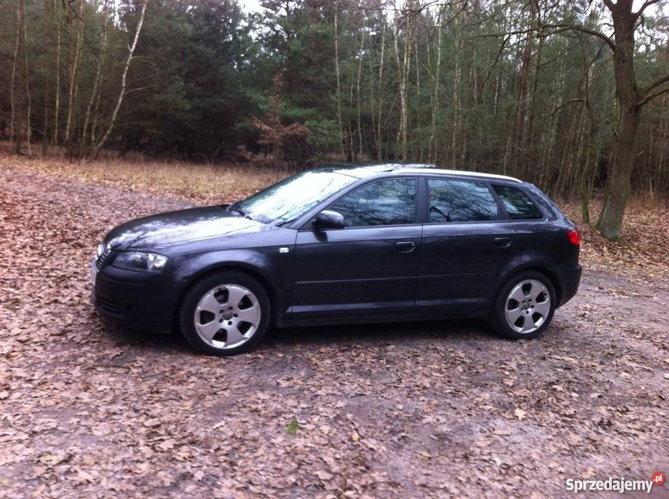 Audi A3 sporbeck szklany dach okazja nieuszkodzony Mosina