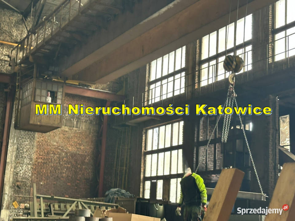 Hale produkcyjne z 2 suwnicami do wynajęcia Sosnowiec