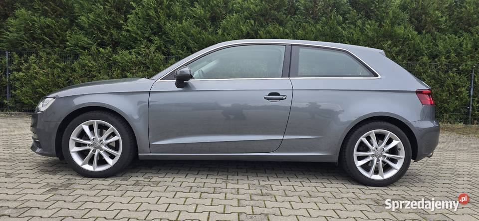 Audi A3 8V 14 bogate wyposażenie Kargowa