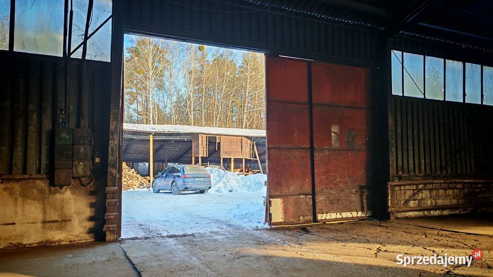 Do wynajęcia hala magazyn 450 m Naterki k