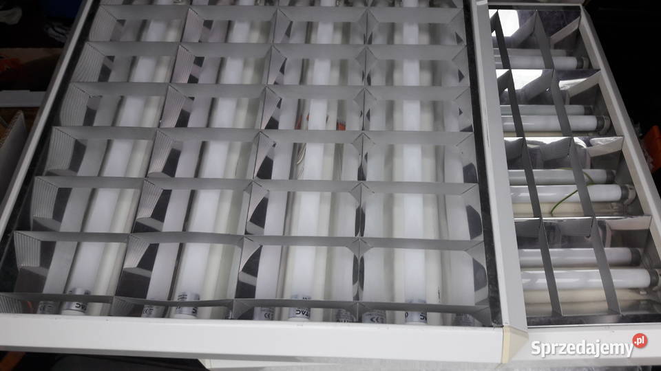 lampa biurowa sklepowa wielkopolskie sprzedam