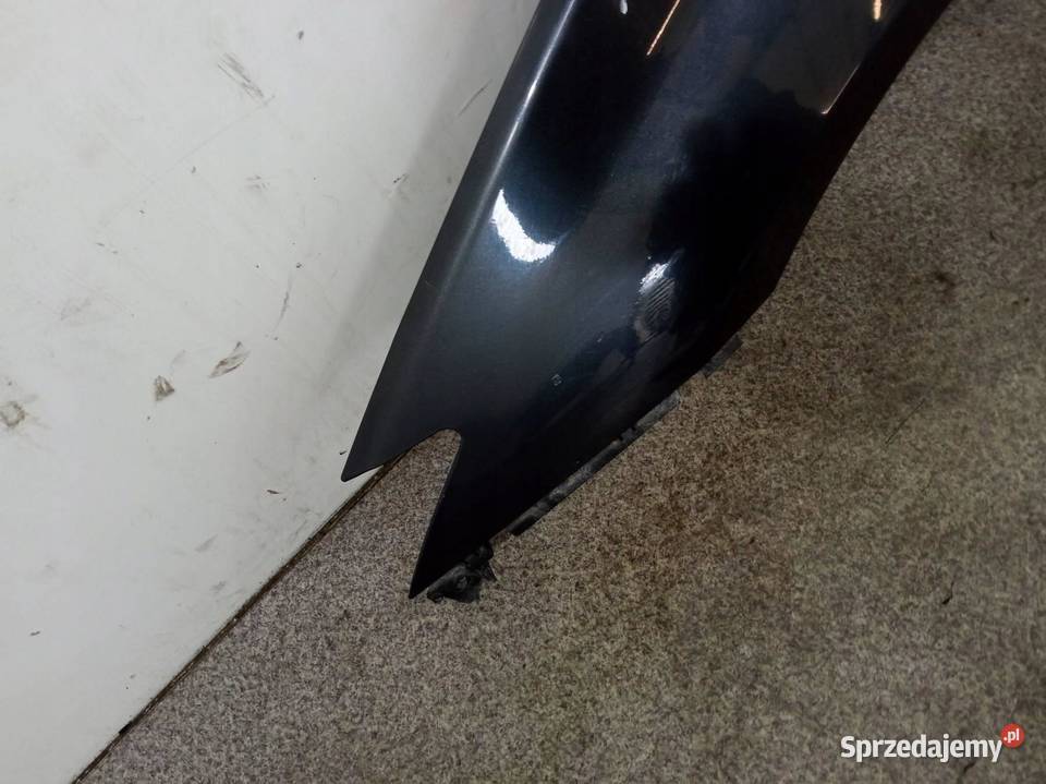 BŁOTNIK LEWY PRZÓD TEB66 Renault Laguna III 2007 Błotniki Karoseria