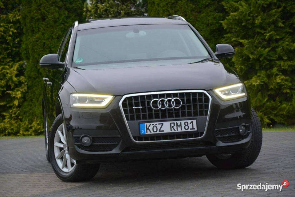 Audi Q3 Panorama Quattro Ledy biXenon Navi aluminiowe felgi Q3
