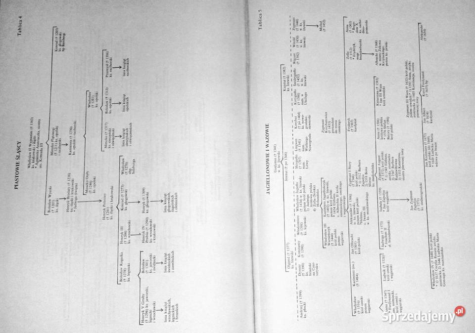 Historia Polski do roku 1975 Henryk Samsonowicz twarda Chełm
