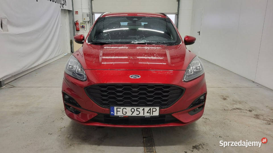 Ford Kuga 25 FHEV FWD STLine X III 2019 ABS Grójec
