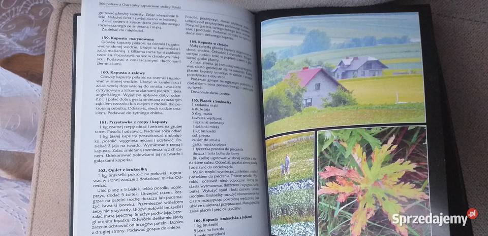 Charsznica kapuściana stolica Polski Kraków