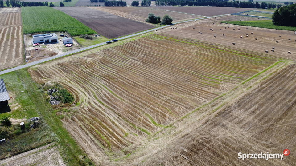 sprzedaży działki Dziedzice gmina Lądek obręb 261000m2 Słupca sprzedam