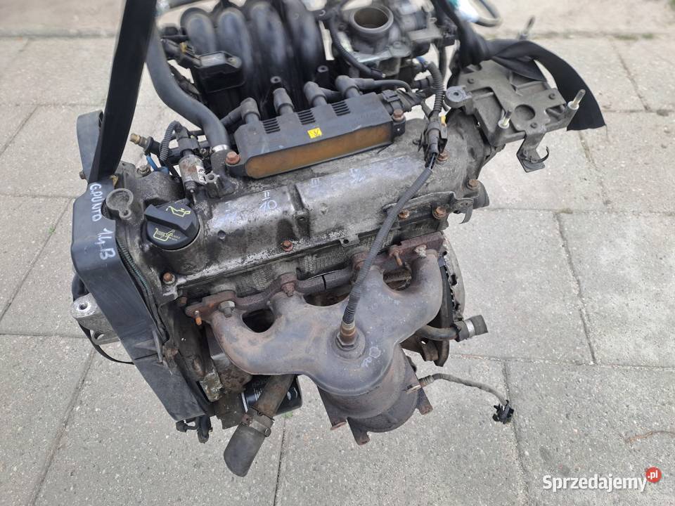 Fiat Grande Punto Evo 14 8V silnik kompletny kod Jastrzębie-Zdrój
