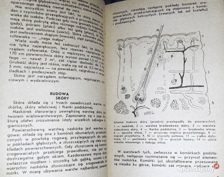 Kosmetyka pana Marian Zajfen Książki i Podręczniki lubelskie
