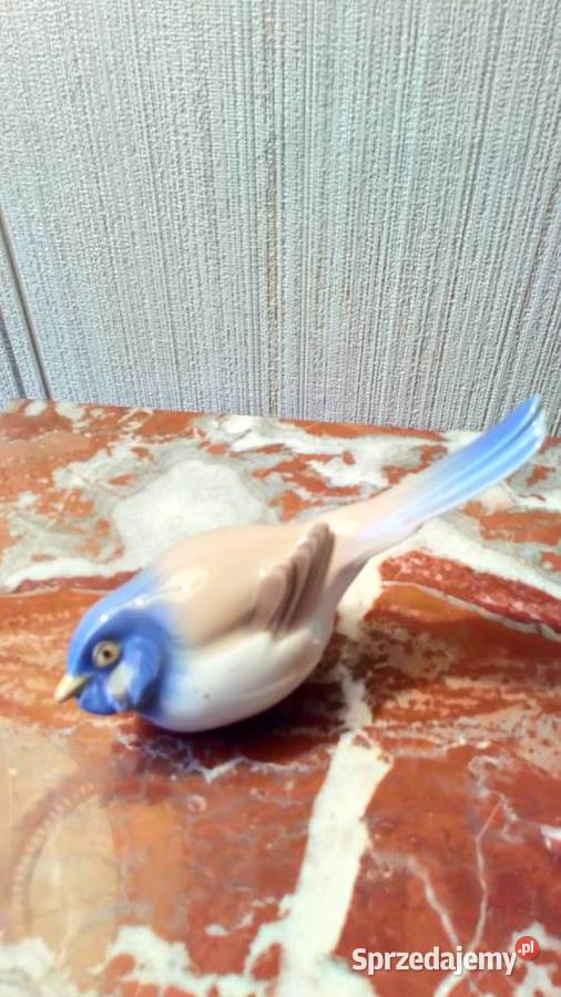 Ptaszki porcelanowe BG Olsztyn